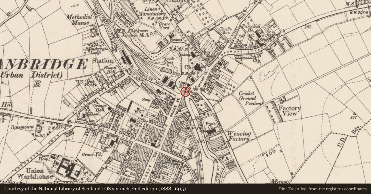 Ordnance Survey six-inch map, 2nd edition (1888–1915) covering the location of Bann Bridge, Armagh City, Banbridge and Craigavon, with a pin at the register's coordinates
