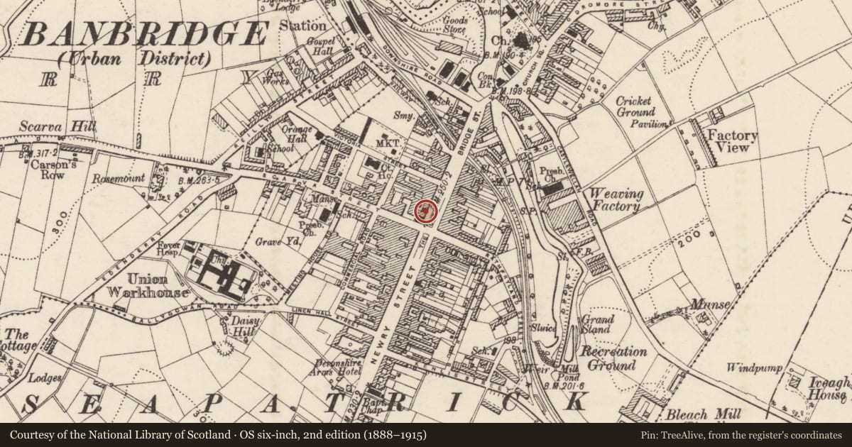 Ordnance Survey six-inch map, 2nd edition (1888–1915) covering the location of 6 Bridge Street, Tullyear, Armagh City, Banbridge and Craigavon, with a pin at the register's coordinates