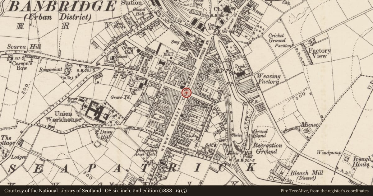 Ordnance Survey six-inch map, 2nd edition (1888–1915) covering the location of Downshire Bridge, Ballyvally, Armagh City, Banbridge and Craigavon, with a pin at the register's coordinates