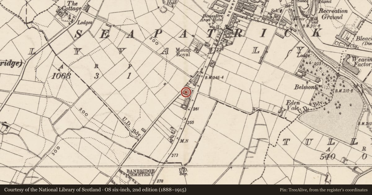 Ordnance Survey six-inch map, 2nd edition (1888–1915) covering the location of 6-13 Font Street, Armagh City, Banbridge and Craigavon, with a pin at the register's coordinates