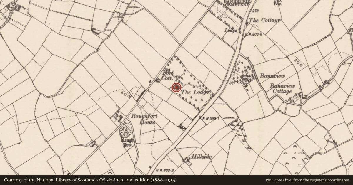 Ordnance Survey six-inch map, 2nd edition (1888–1915) covering the location of The Lodge, Ballyvally, Armagh City, Banbridge and Craigavon, with a pin at the register's coordinates