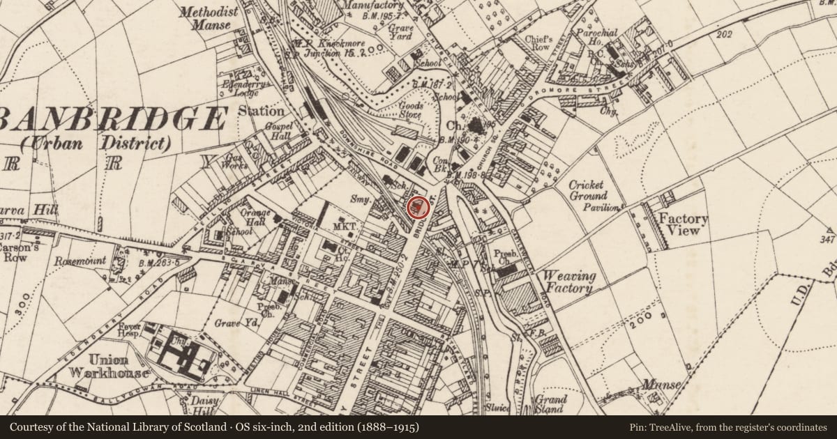 Ordnance Survey six-inch map, 2nd edition (1888–1915) covering the location of Diamond Dolls, Ballydown, Armagh City, Banbridge and Craigavon, with a pin at the register's coordinates