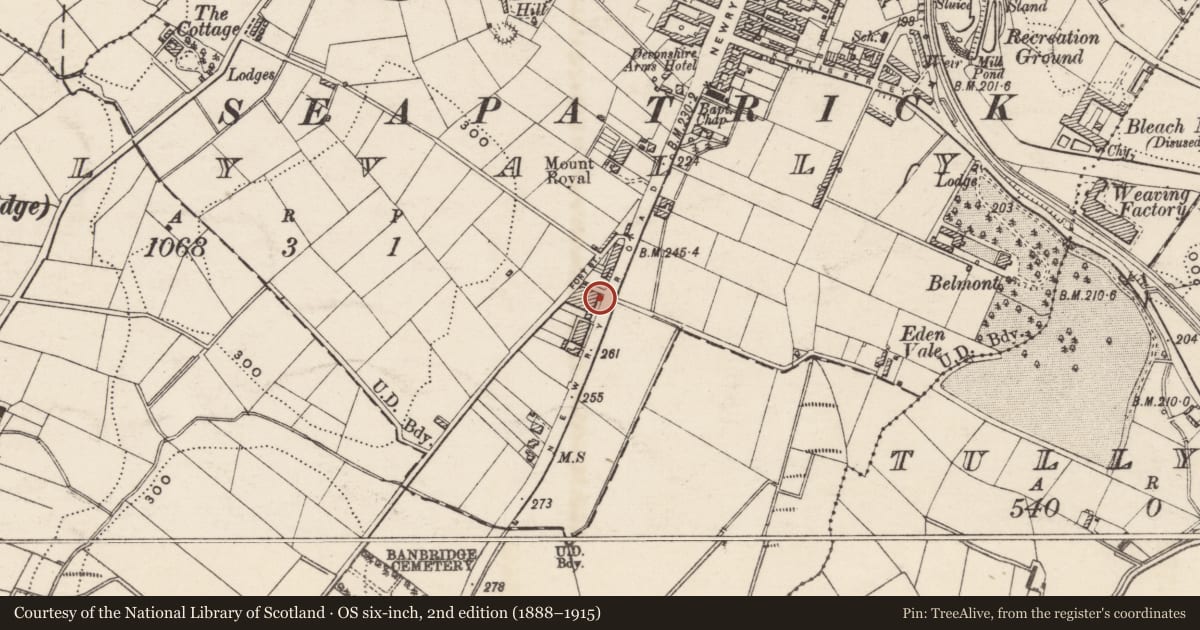 Ordnance Survey six-inch map, 2nd edition (1888–1915) covering the location of 1 Mourne View Terrace, Tullyear, Armagh City, Banbridge and Craigavon, with a pin at the register's coordinates