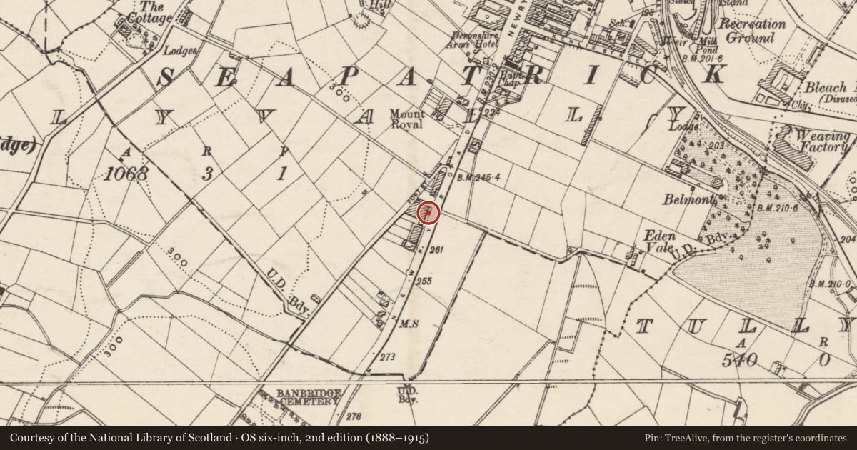 Ordnance Survey six-inch map, 2nd edition (1888–1915) covering the location of 2 Mourne View Terrace, Tullyear, Armagh City, Banbridge and Craigavon, with a pin at the register's coordinates
