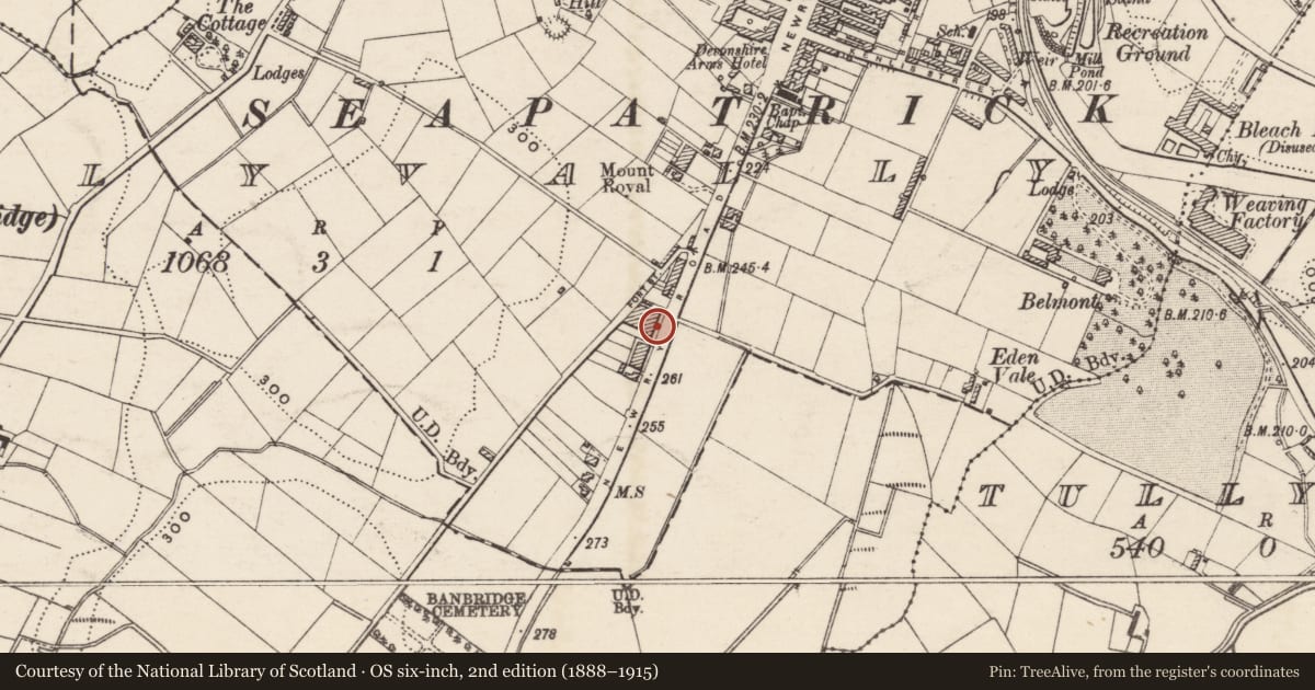 Ordnance Survey six-inch map, 2nd edition (1888–1915) covering the location of 3 Mourne View Terrace, Tullyear, Armagh City, Banbridge and Craigavon, with a pin at the register's coordinates