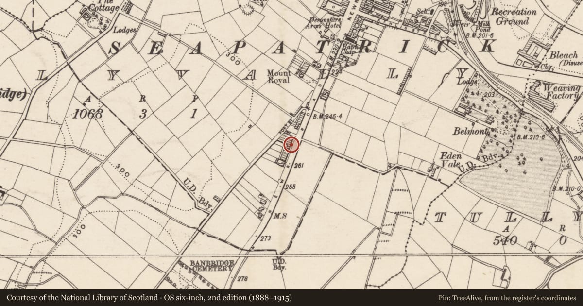Ordnance Survey six-inch map, 2nd edition (1888–1915) covering the location of 4 Mourne View Terrace, Tullyear, Armagh City, Banbridge and Craigavon, with a pin at the register's coordinates