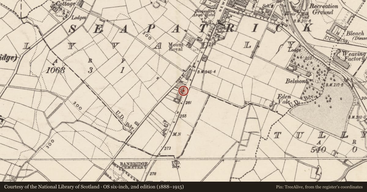 Ordnance Survey six-inch map, 2nd edition (1888–1915) covering the location of 5 Mourne View Terrace, Tullyear, Armagh City, Banbridge and Craigavon, with a pin at the register's coordinates