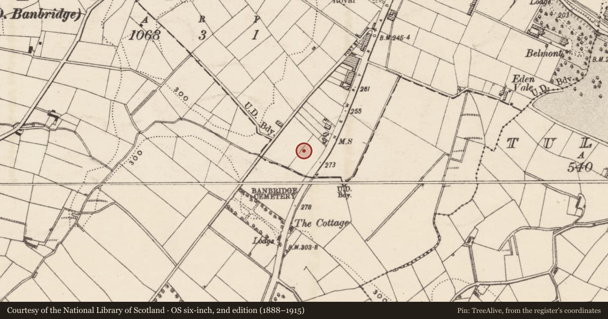 Ordnance Survey six-inch map, 2nd edition (1888–1915) covering the location of Glencar, 35 Newry Road, Banbridge, Co Down, BT32 3HP, Tullyear, Armagh City, Banbridge and Craigavon, with a pin at the register's coordinates