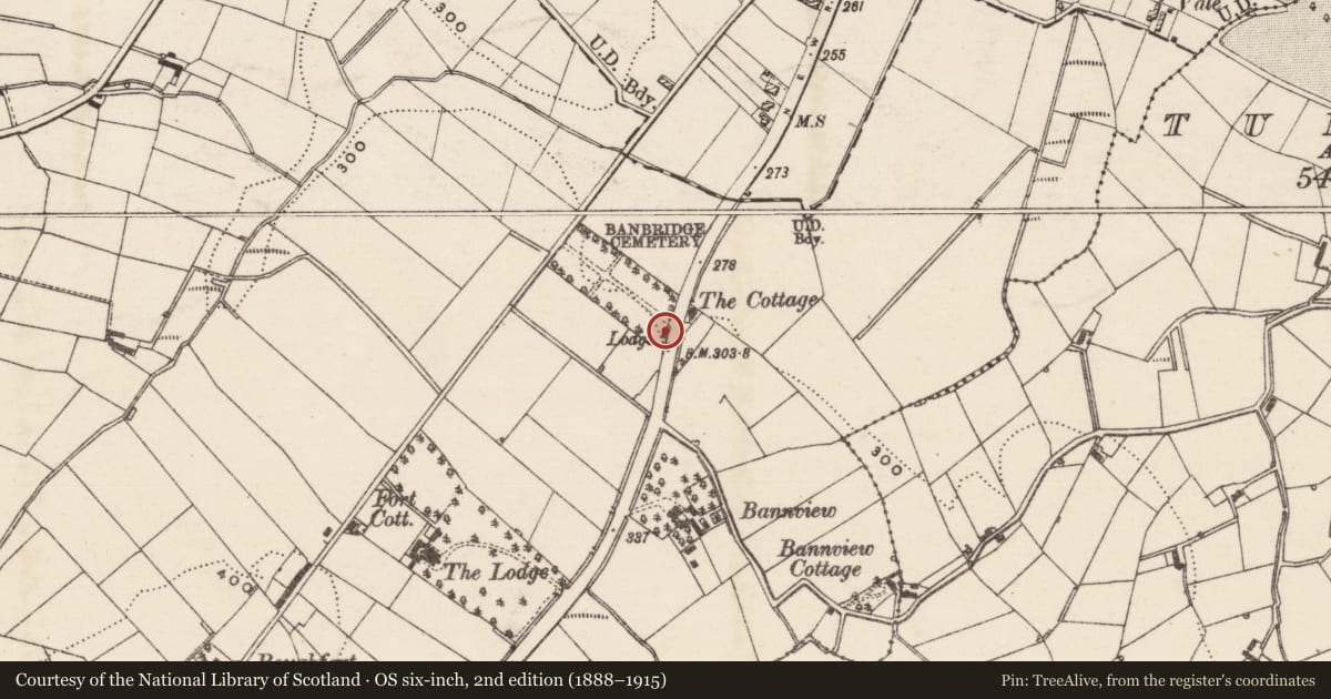 Ordnance Survey six-inch map, 2nd edition (1888–1915) covering the location of Gate Lodge, Balllyvally, Armagh City, Banbridge and Craigavon, with a pin at the register's coordinates