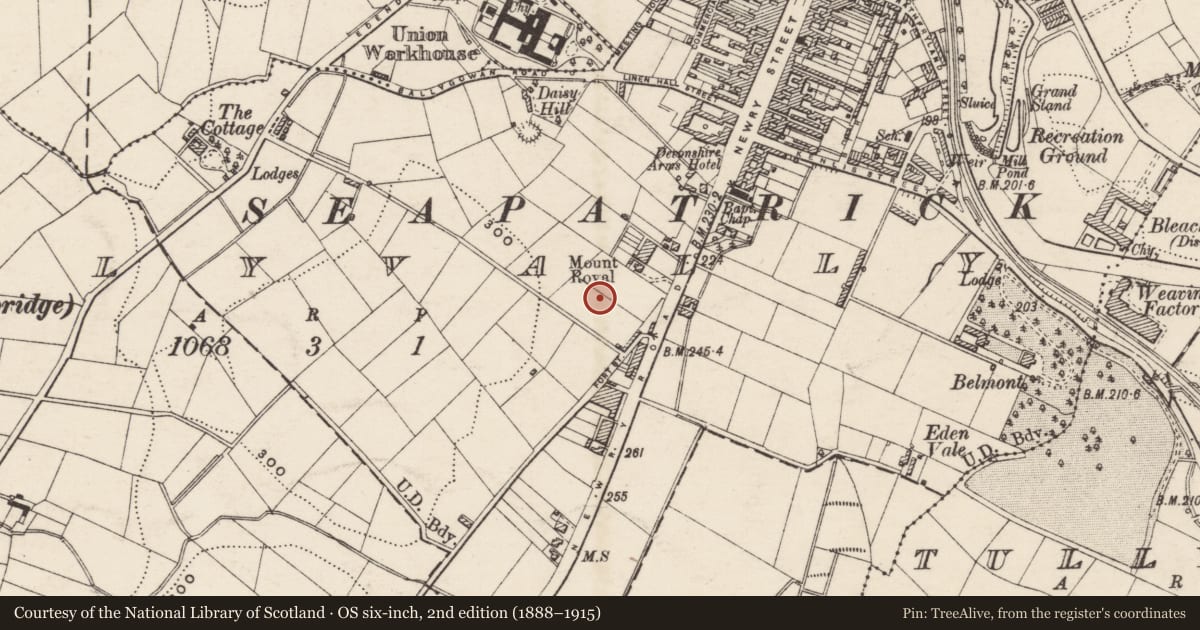 Ordnance Survey six-inch map, 2nd edition (1888–1915) covering the location of Abercorn Primary School, Tullyear, Armagh City, Banbridge and Craigavon, with a pin at the register's coordinates