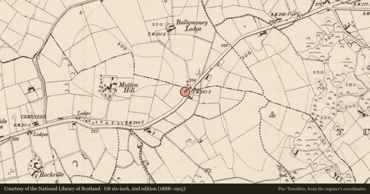 Ordnance Survey six-inch map, 2nd edition (1888–1915) covering the location of 89 Dromore Road, Armagh City, Banbridge and Craigavon, with a pin at the register's coordinates