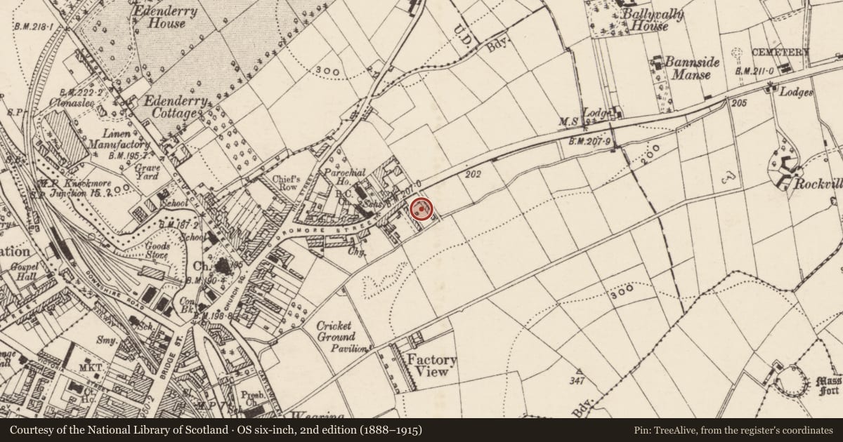 Ordnance Survey six-inch map, 2nd edition (1888–1915) covering the location of Brook Lane, Armagh City, Banbridge and Craigavon, with a pin at the register's coordinates