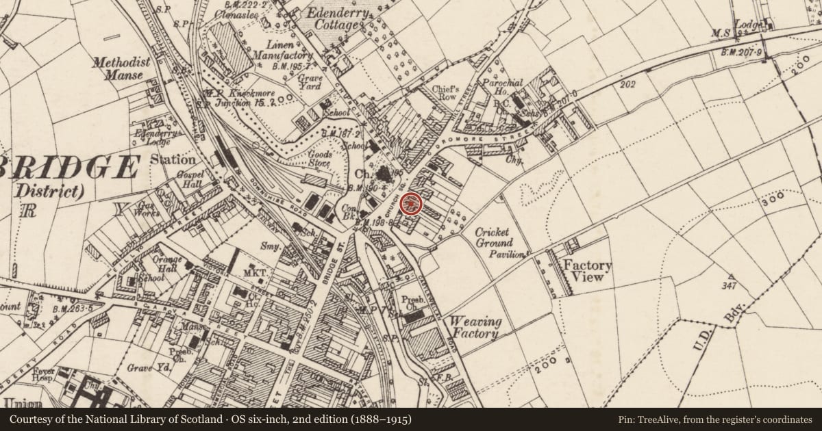 Ordnance Survey six-inch map, 2nd edition (1888–1915) covering the location of 19 Church Square, Armagh City, Banbridge and Craigavon, with a pin at the register's coordinates