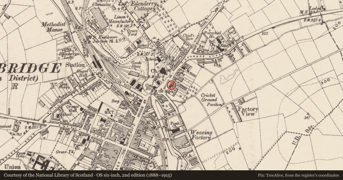 Ordnance Survey six-inch map, 2nd edition (1888–1915) covering the location of The Coach Inn, Tullyear, Armagh City, Banbridge and Craigavon, with a pin at the register's coordinates
