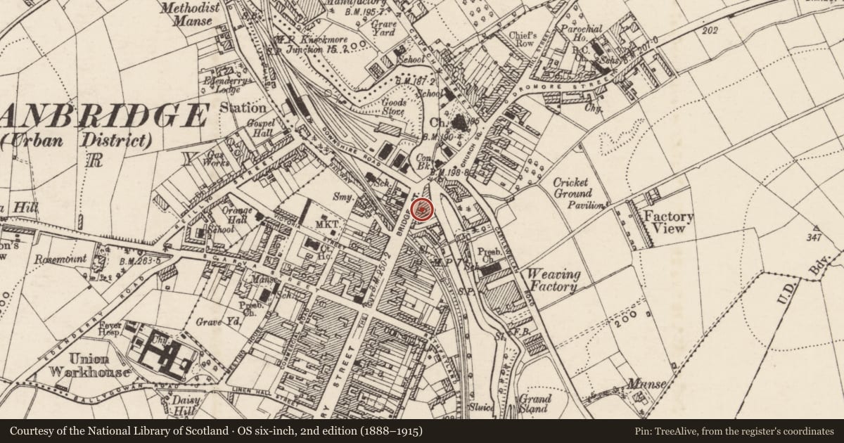 Ordnance Survey six-inch map, 2nd edition (1888–1915) covering the location of 67 Bridge Street, Ballyvally, Armagh City, Banbridge and Craigavon, with a pin at the register's coordinates