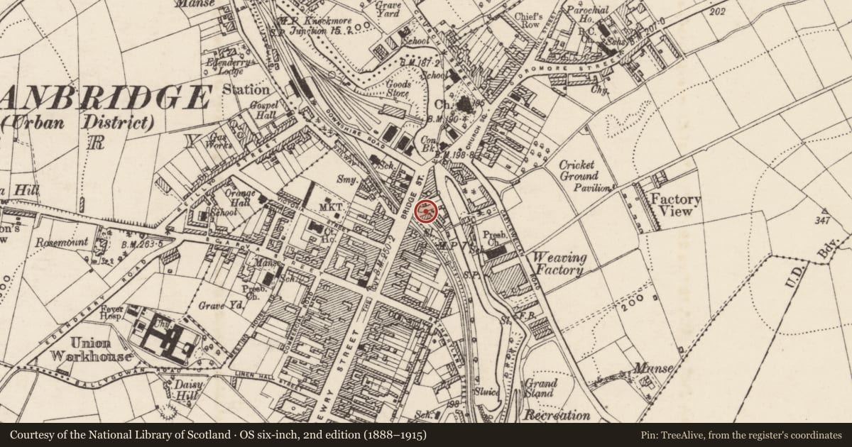 Ordnance Survey six-inch map, 2nd edition (1888–1915) covering the location of Boyes Store, Armagh City, Banbridge and Craigavon, with a pin at the register's coordinates