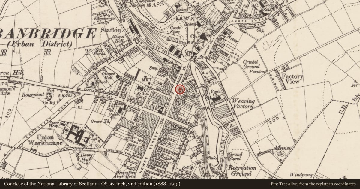 Ordnance Survey six-inch map, 2nd edition (1888–1915) covering the location of 51 Bridge Street, Ballyvally, Armagh City, Banbridge and Craigavon, with a pin at the register's coordinates