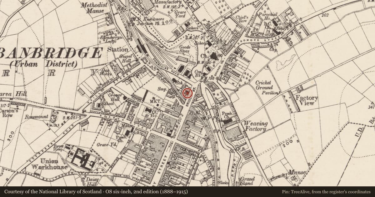 Ordnance Survey six-inch map, 2nd edition (1888–1915) covering the location of 50 Bridge Street, Armagh City, Banbridge and Craigavon, with a pin at the register's coordinates