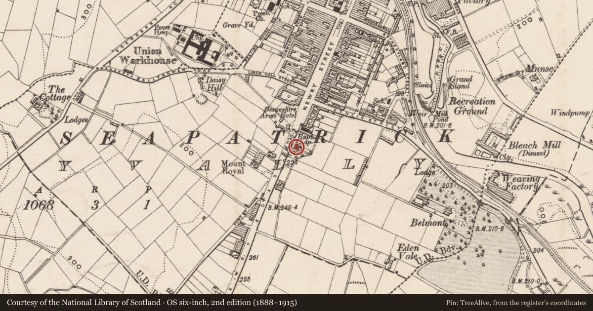 Ordnance Survey six-inch map, 2nd edition (1888–1915) covering the location of Victoria House, Ballyvally, Armagh City, Banbridge and Craigavon, with a pin at the register's coordinates