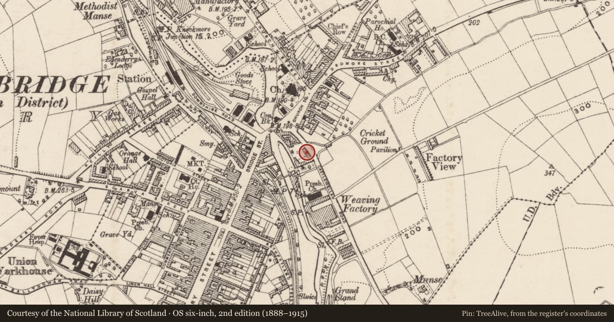 Ordnance Survey six-inch map, 2nd edition (1888–1915) covering the location of Enville, Tullyear, Armagh City, Banbridge and Craigavon, with a pin at the register's coordinates