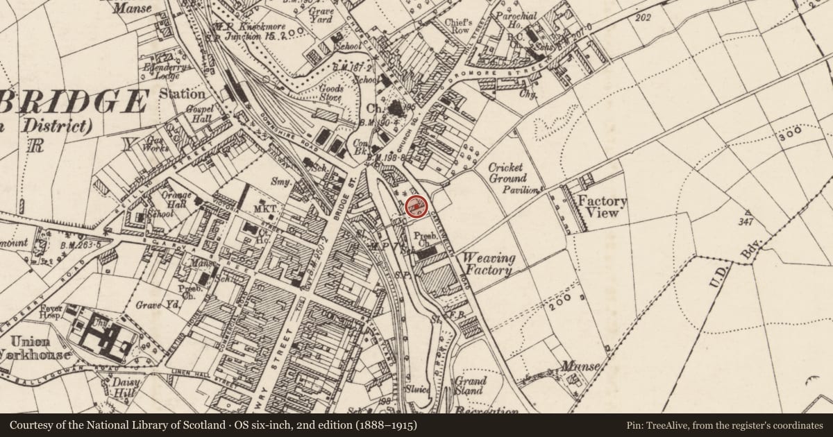 Ordnance Survey six-inch map, 2nd edition (1888–1915) covering the location of WAREHOUSE, Armagh City, Banbridge and Craigavon, with a pin at the register's coordinates
