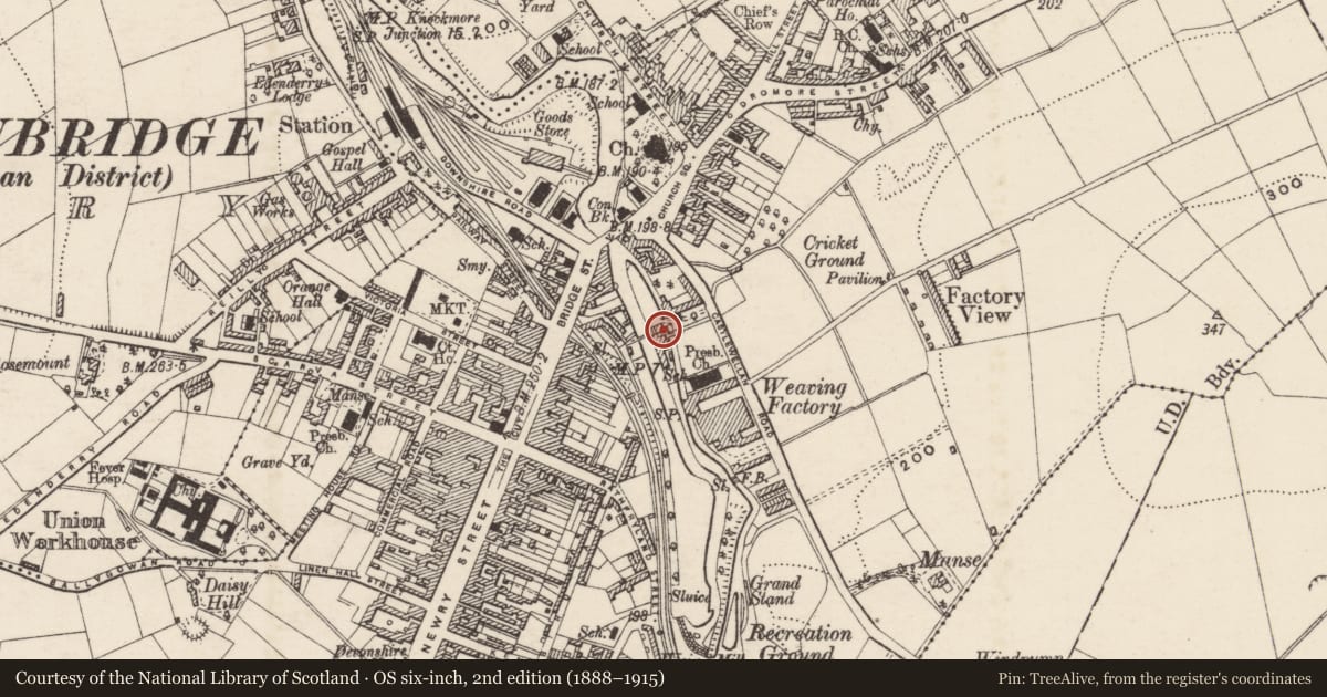 Ordnance Survey six-inch map, 2nd edition (1888–1915) covering the location of Solitude, Ballyvally, Armagh City, Banbridge and Craigavon, with a pin at the register's coordinates