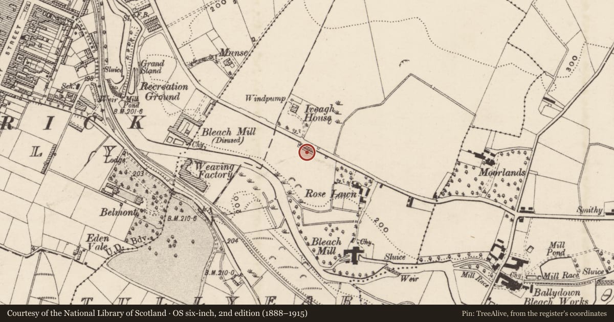 Ordnance Survey six-inch map, 2nd edition (1888–1915) covering the location of 63-71 Castlewellan Road, Armagh City, Banbridge and Craigavon, with a pin at the register's coordinates