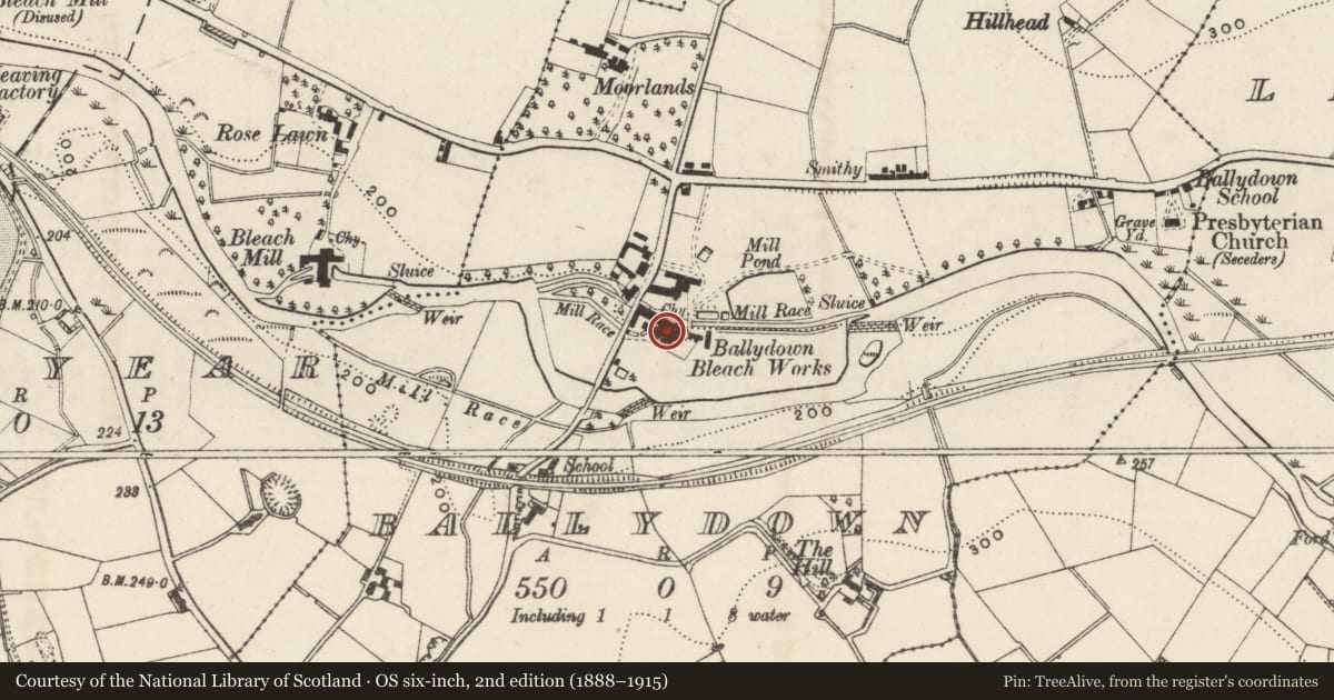 Ordnance Survey six-inch map, 2nd edition (1888–1915) covering the location of Bleach Works, Armagh City, Banbridge and Craigavon, with a pin at the register's coordinates