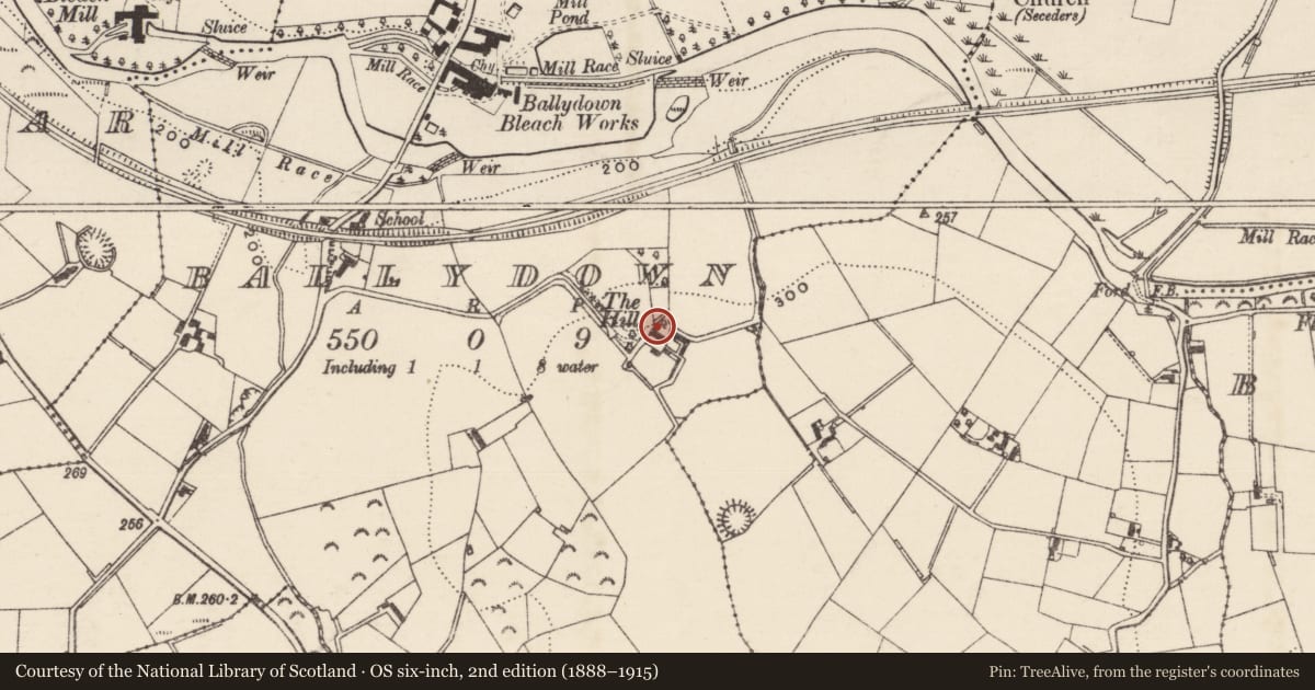 Ordnance Survey six-inch map, 2nd edition (1888–1915) covering the location of The Hill, Ballydown, Armagh City, Banbridge and Craigavon, with a pin at the register's coordinates