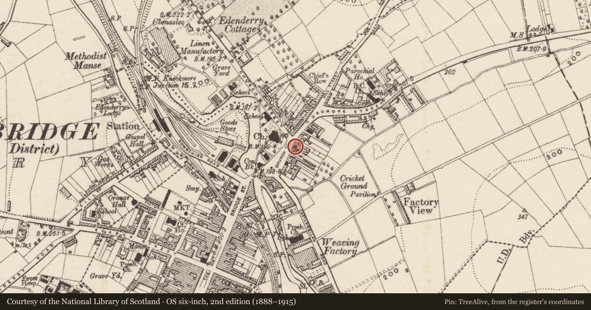 Ordnance Survey six-inch map, 2nd edition (1888–1915) covering the location of Commercial Premises, Armagh City, Banbridge and Craigavon, with a pin at the register's coordinates