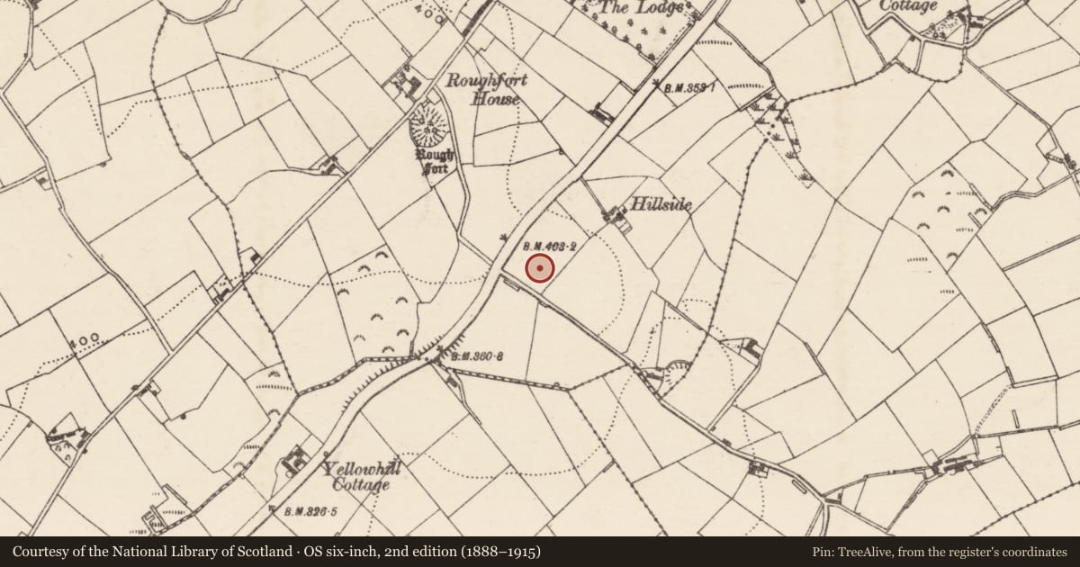 Ordnance Survey six-inch map, 2nd edition (1888–1915) covering the location of Lotus Factory, Ballyvally, Armagh City, Banbridge and Craigavon, with a pin at the register's coordinates