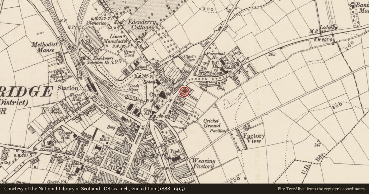 Ordnance Survey six-inch map, 2nd edition (1888–1915) covering the location of Temperance Hall, Ballyvally, Armagh City, Banbridge and Craigavon, with a pin at the register's coordinates