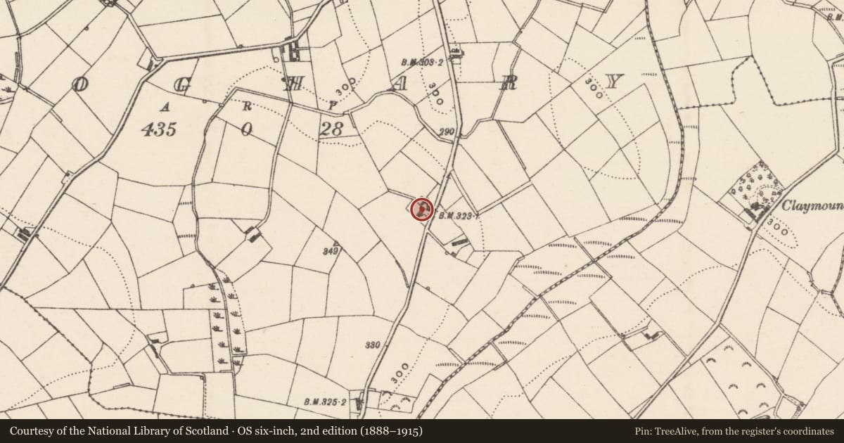 Ordnance Survey six-inch map, 2nd edition (1888–1915) covering the location of 51 Doughery Road, Armagh City, Banbridge and Craigavon, with a pin at the register's coordinates