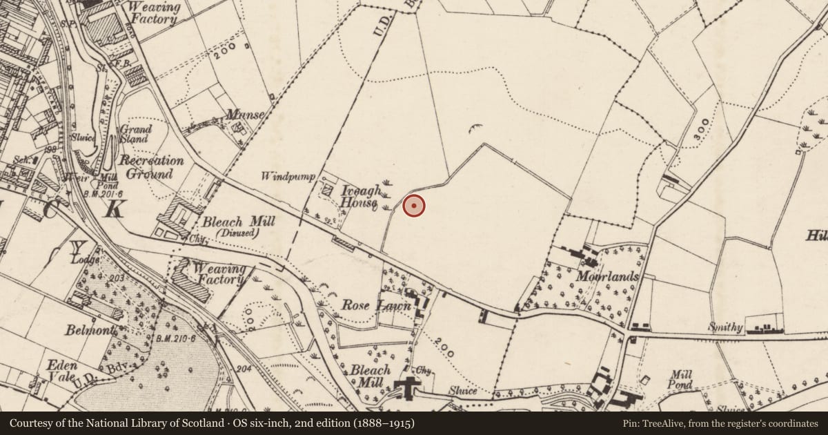 Ordnance Survey six-inch map, 2nd edition (1888–1915) covering the location of 81 Castlewellan Road, Tullyear, Armagh City, Banbridge and Craigavon, with a pin at the register's coordinates