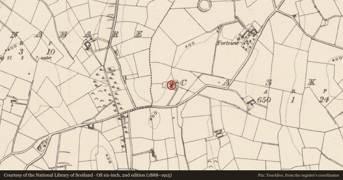 Ordnance Survey six-inch map, 2nd edition (1888–1915) covering the location of 61 Aghaderg Road, Armagh City, Banbridge and Craigavon, with a pin at the register's coordinates