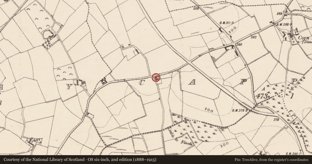 Ordnance Survey six-inch map, 2nd edition (1888–1915) covering the location of 4 Brague Road, Armagh City, Banbridge and Craigavon, with a pin at the register's coordinates