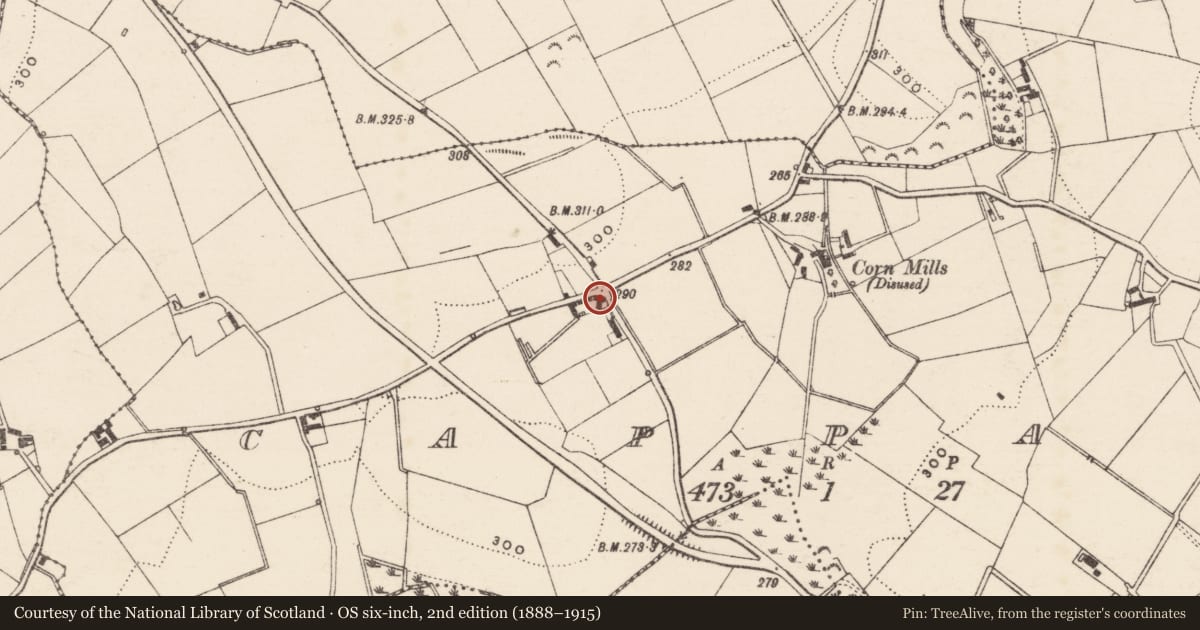 Ordnance Survey six-inch map, 2nd edition (1888–1915) covering the location of 108 Drone Hill, Cappagh, Armagh City, Banbridge and Craigavon, with a pin at the register's coordinates