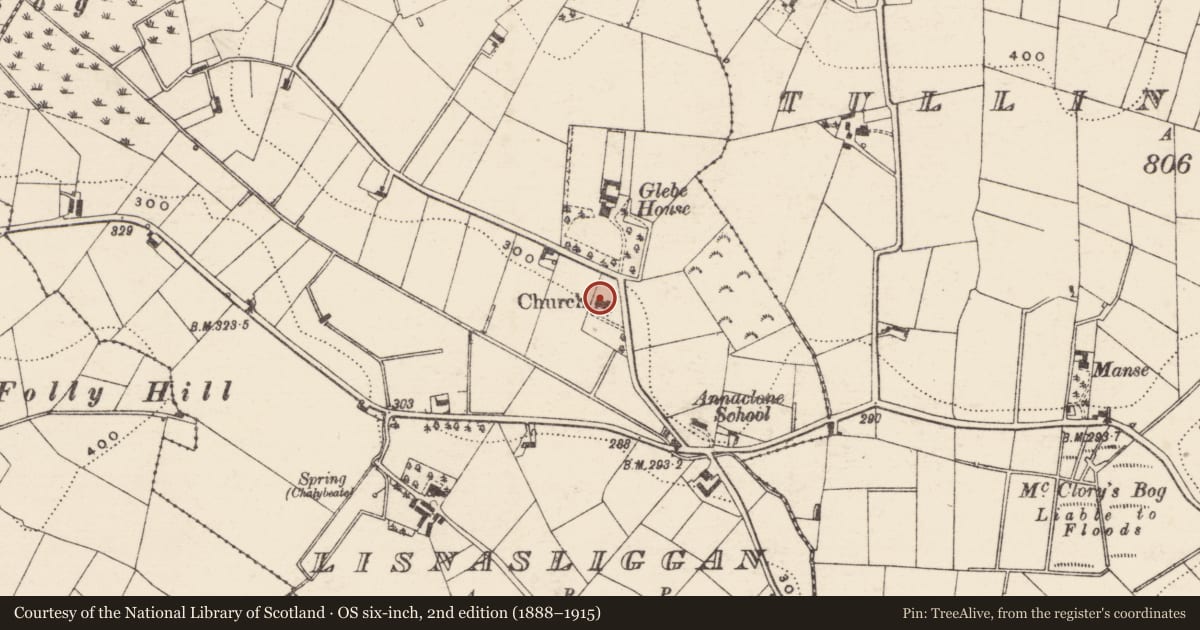 Ordnance Survey six-inch map, 2nd edition (1888–1915) covering the location of Christ Church, Lisnaliggan, Armagh City, Banbridge and Craigavon, with a pin at the register's coordinates