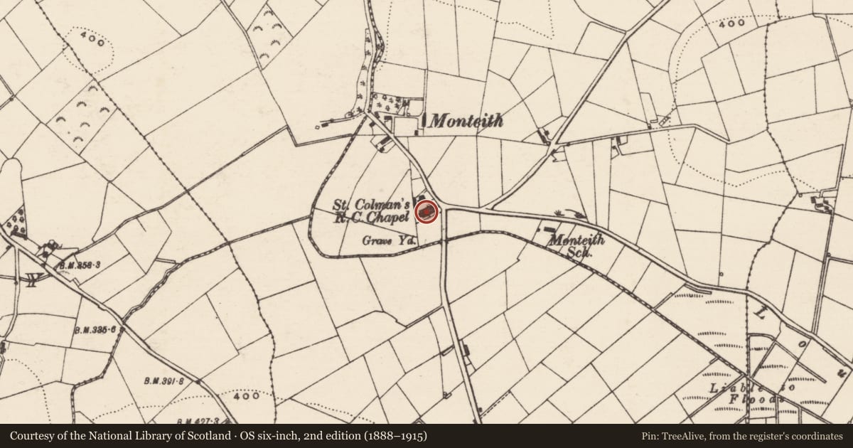 Ordnance Survey six-inch map, 2nd edition (1888–1915) covering the location of St. Colmans R C Church, Tullytanvally, Armagh City, Banbridge and Craigavon, with a pin at the register's coordinates