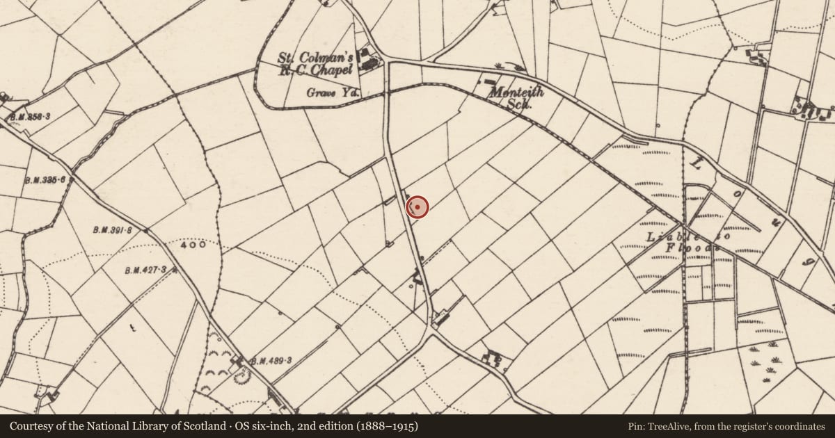 Ordnance Survey six-inch map, 2nd edition (1888–1915) covering the location of 6 Millvale Road, Armagh City, Banbridge and Craigavon, with a pin at the register's coordinates