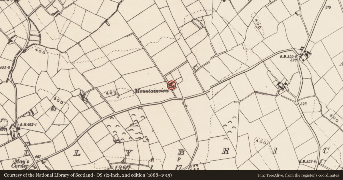 Ordnance Survey six-inch map, 2nd edition (1888–1915) covering the location of Mountain View, Ballybrick, Armagh City, Banbridge and Craigavon, with a pin at the register's coordinates