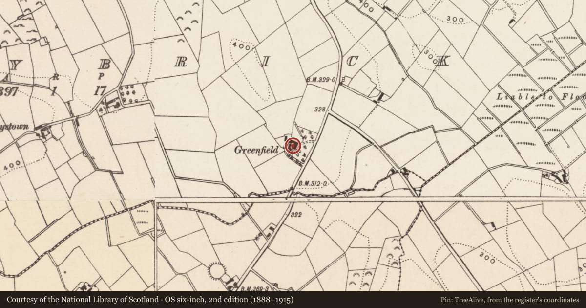 Ordnance Survey six-inch map, 2nd edition (1888–1915) covering the location of Greenfield, Ballybrick, Armagh City, Banbridge and Craigavon, with a pin at the register's coordinates