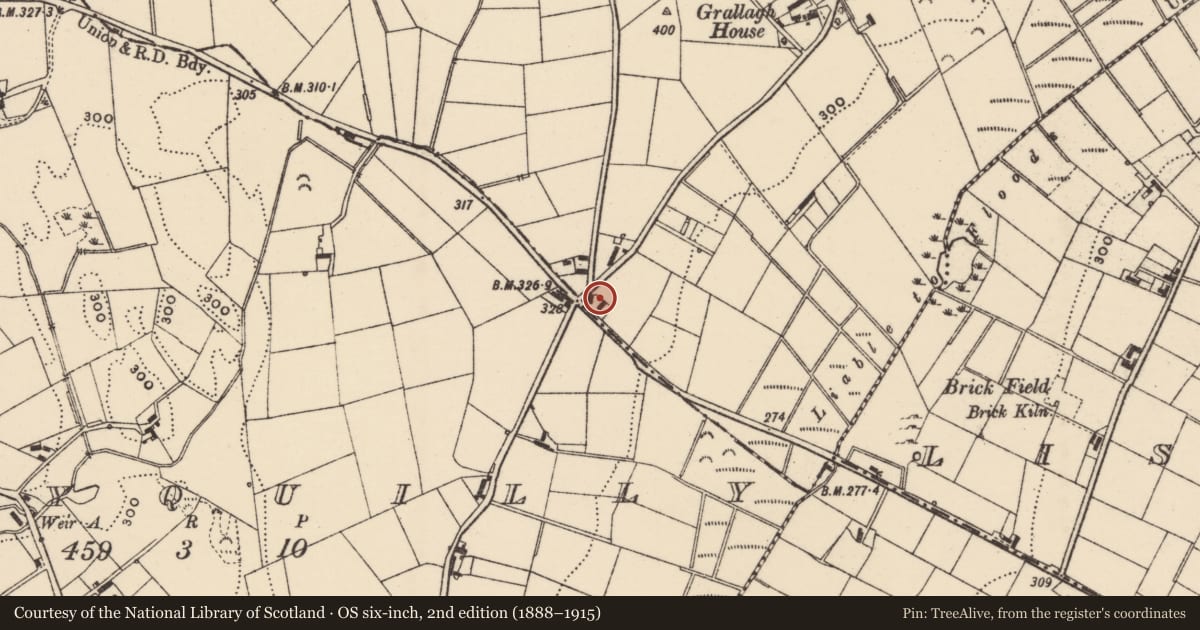 Ordnance Survey six-inch map, 2nd edition (1888–1915) covering the location of McGinns Cross, Armagh City, Banbridge and Craigavon, with a pin at the register's coordinates