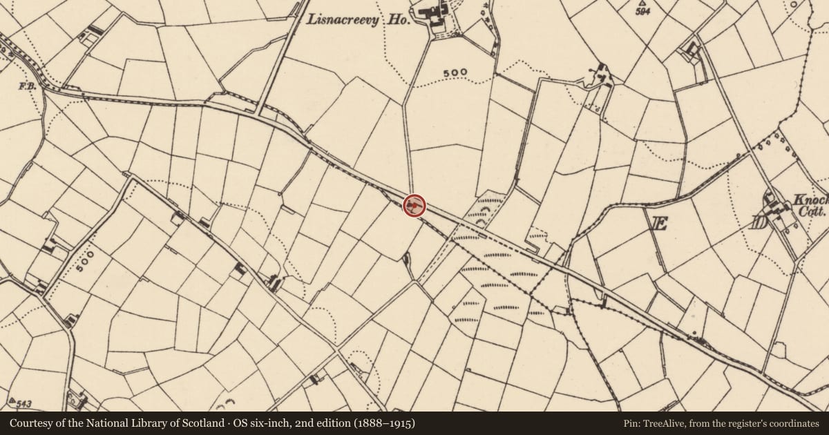 Ordnance Survey six-inch map, 2nd edition (1888–1915) covering the location of 66 Ballymagna Road, Armagh City, Banbridge and Craigavon, with a pin at the register's coordinates