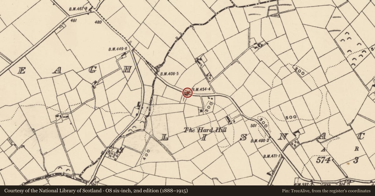 Ordnance Survey six-inch map, 2nd edition (1888–1915) covering the location of 96 Lisnacroppin Road, Armagh City, Banbridge and Craigavon, with a pin at the register's coordinates