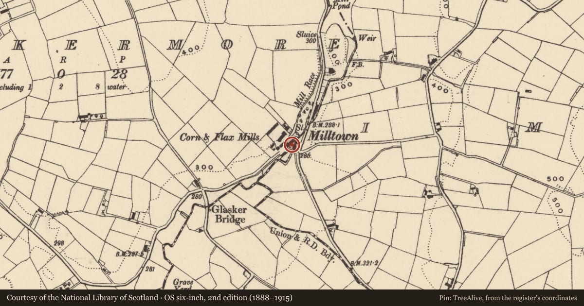 Ordnance Survey six-inch map, 2nd edition (1888–1915) covering the location of Corn mill, Glaskermore, Armagh City, Banbridge and Craigavon, with a pin at the register's coordinates