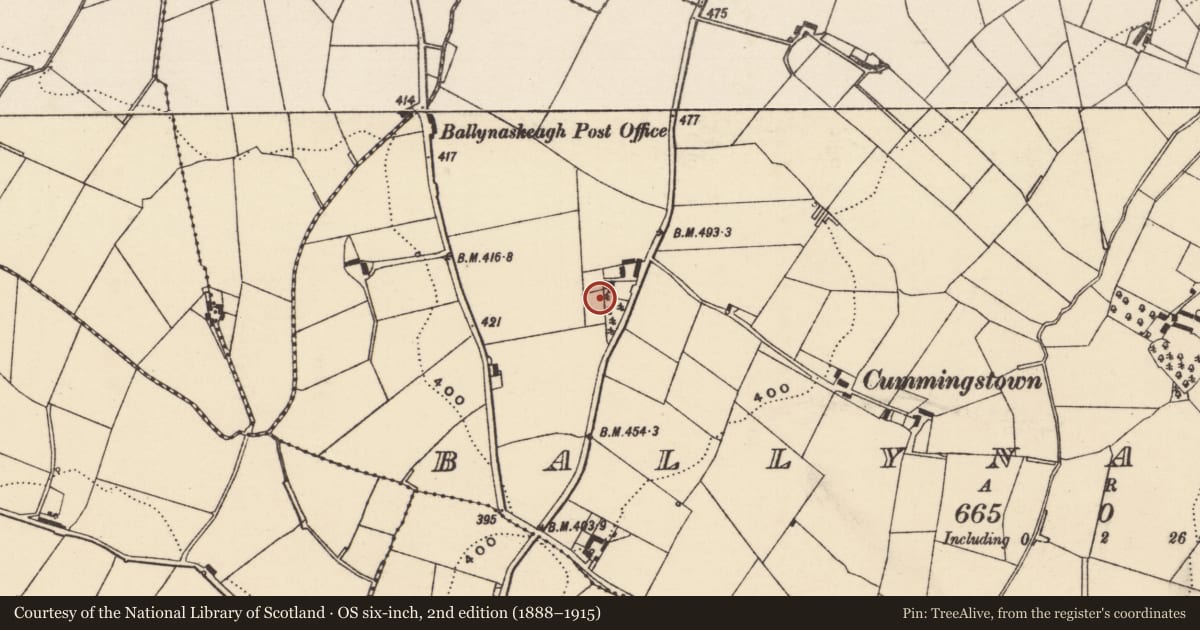 Ordnance Survey six-inch map, 2nd edition (1888–1915) covering the location of 71 Ballynafoy Road, Ballynaskeagh, Armagh City, Banbridge and Craigavon, with a pin at the register's coordinates