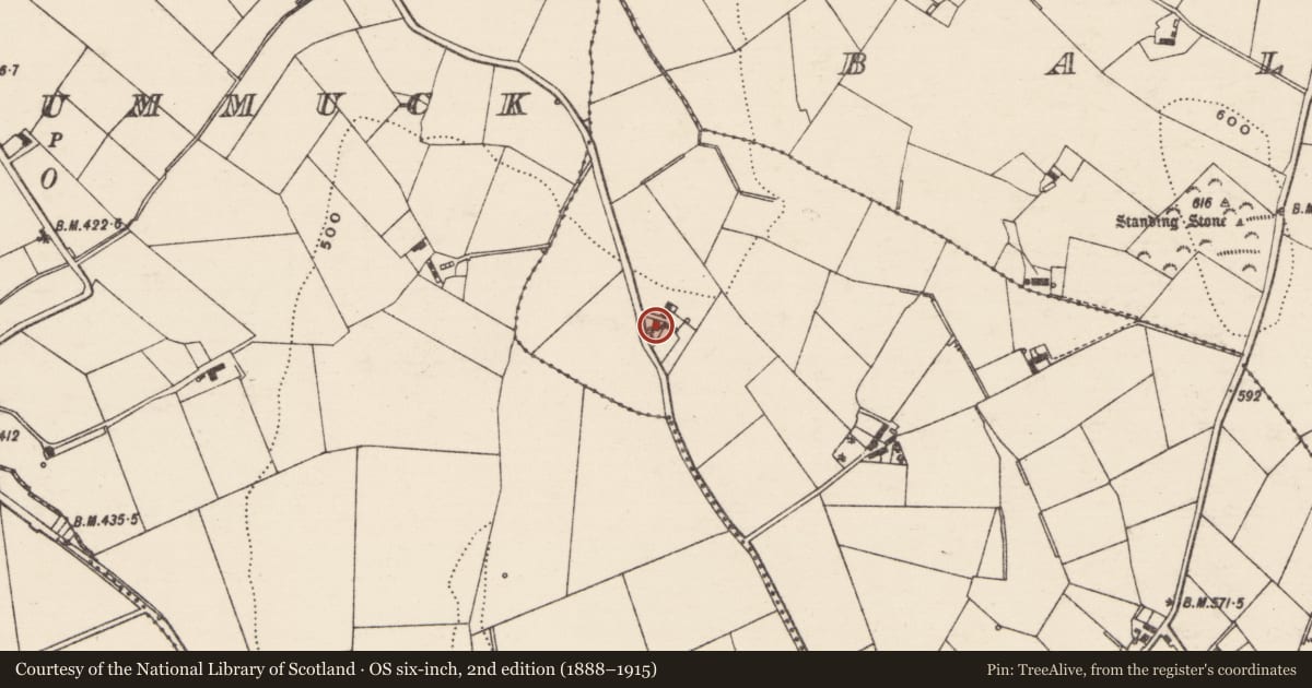 Ordnance Survey six-inch map, 2nd edition (1888–1915) covering the location of 17 Tower Road, Ballynacross, Armagh City, Banbridge and Craigavon, with a pin at the register's coordinates