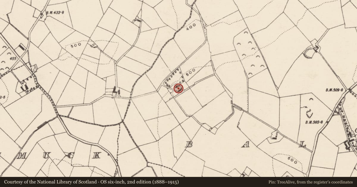 Ordnance Survey six-inch map, 2nd edition (1888–1915) covering the location of 25 Tower Road, Ballynafoy, Armagh City, Banbridge and Craigavon, with a pin at the register's coordinates