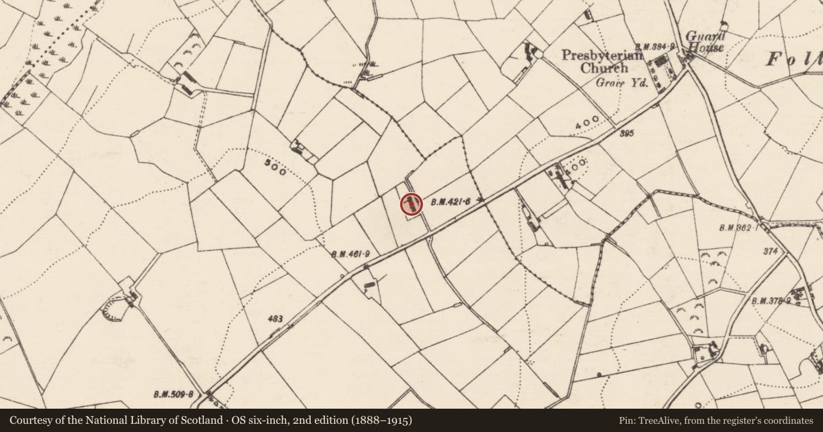 Ordnance Survey six-inch map, 2nd edition (1888–1915) covering the location of 13 Ballynafoy Road, Armagh City, Banbridge and Craigavon, with a pin at the register's coordinates